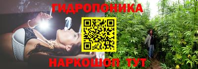 a pvp Бузулук