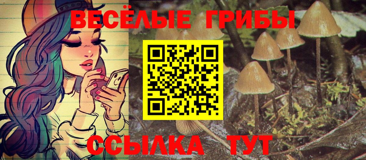 Галлюциногенные грибы MAGIC MUSHROOMS  Вход с VPN  Галлюциногенные грибы Cubensis  Тюмень 